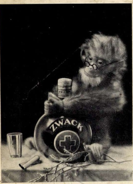 Pécsi József Zwack-fotoreklámja: majom egy gömb alakú palackkal.